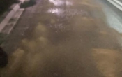 87370940_2537321489839466_6869782662190465024_o